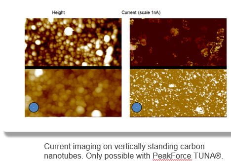 AFM sample image two