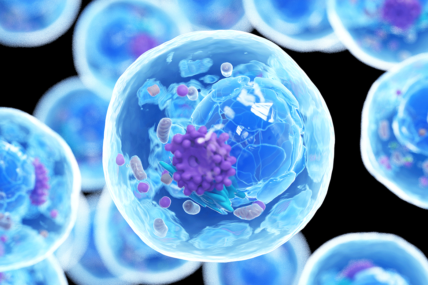 3D illustration of a human cell