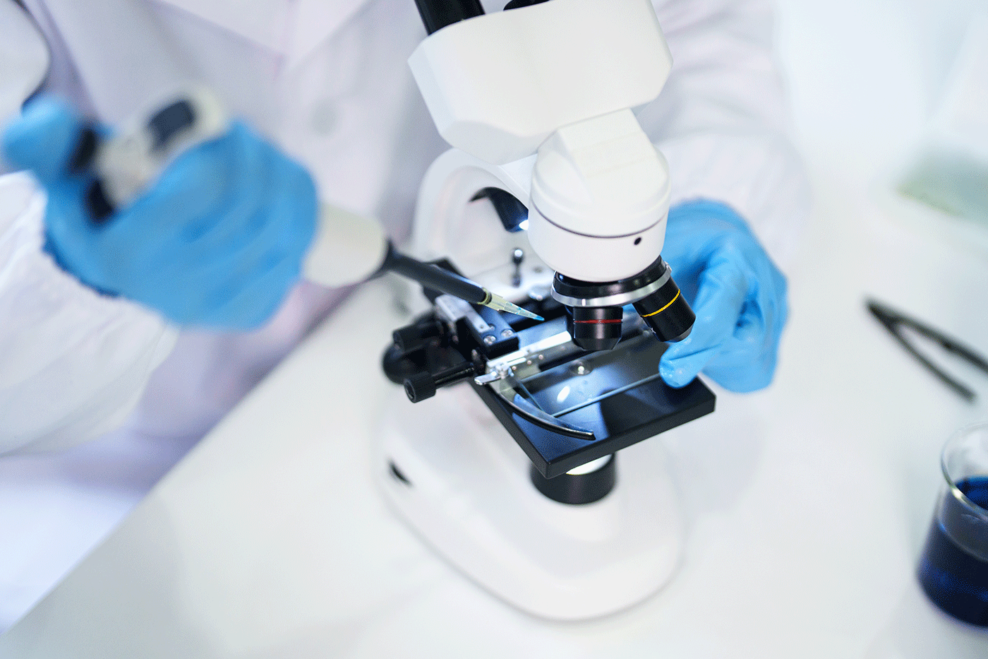 Adult scientist researcher performs precision liquid transfer with micropipette under microscope medical laboratory science experiment discovery development healthcare research