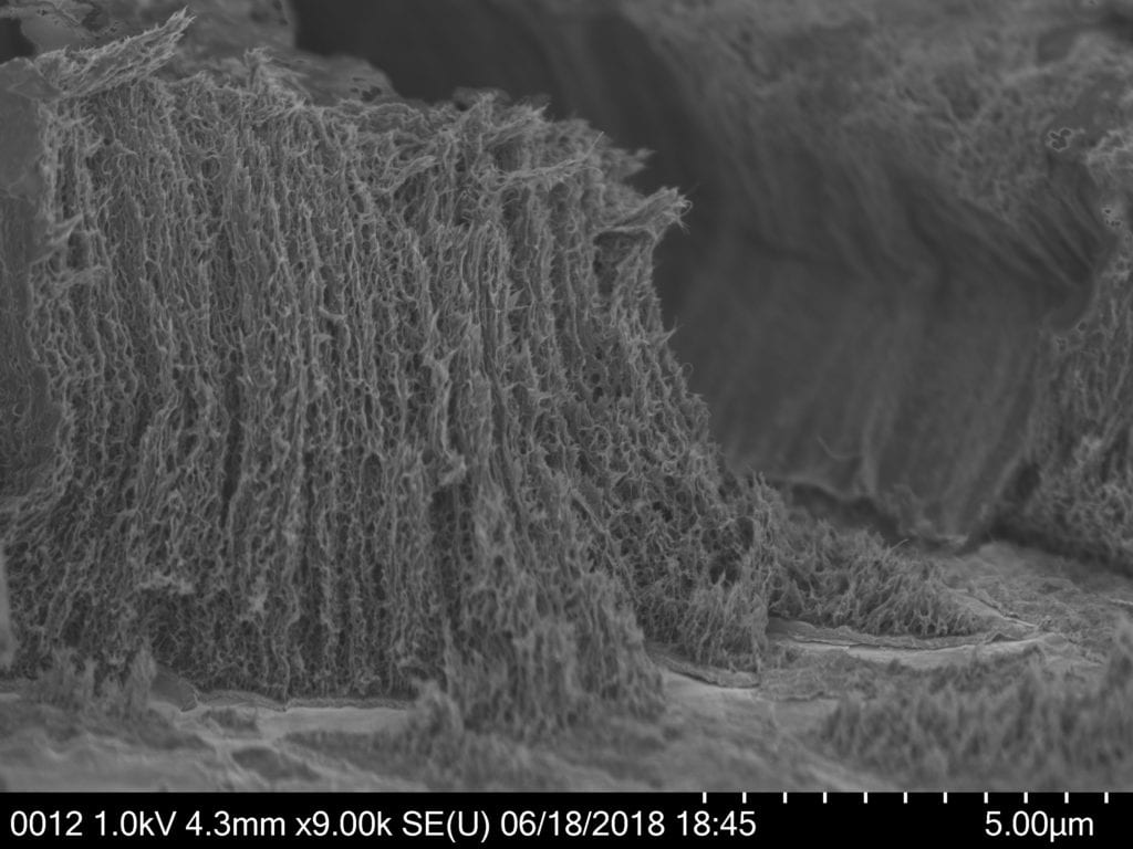 Hitachi SU-8230 SEM sample image