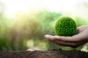 Hand holding a green ball that says Net Zero on it.