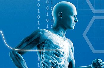 Designed animated human