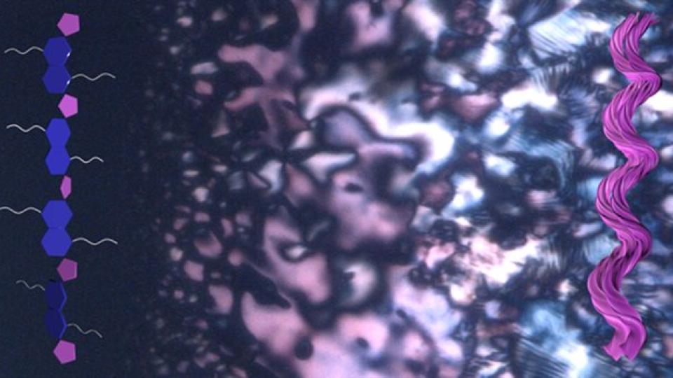 Tiny helices emerge during a phase separation process, offering clues about how life&#039;s building blocks may have first developed a preference for one &#039;handed&#039; form over another. (Credit: Jong-Hoon Lee, Ziming Wang, Ying Diao)