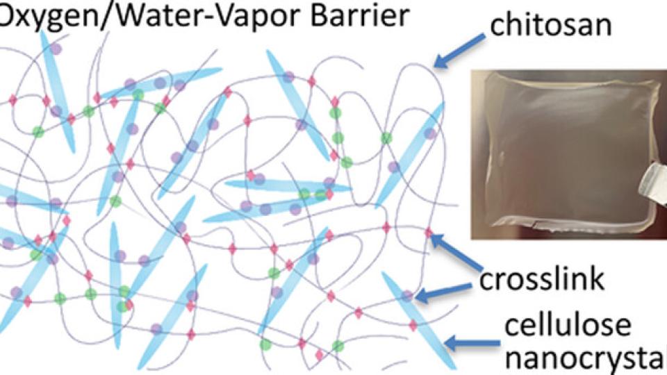 Biobased film for packaging
